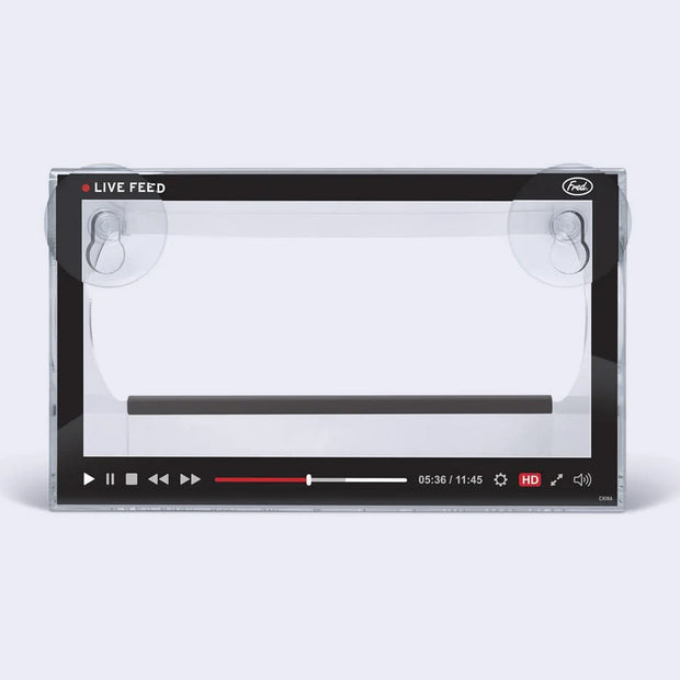 A bird feeder, made of a clear screen that has video watching UI on it, mimicking a Youtube video. Birds eat the feed on a platform behind the screen.