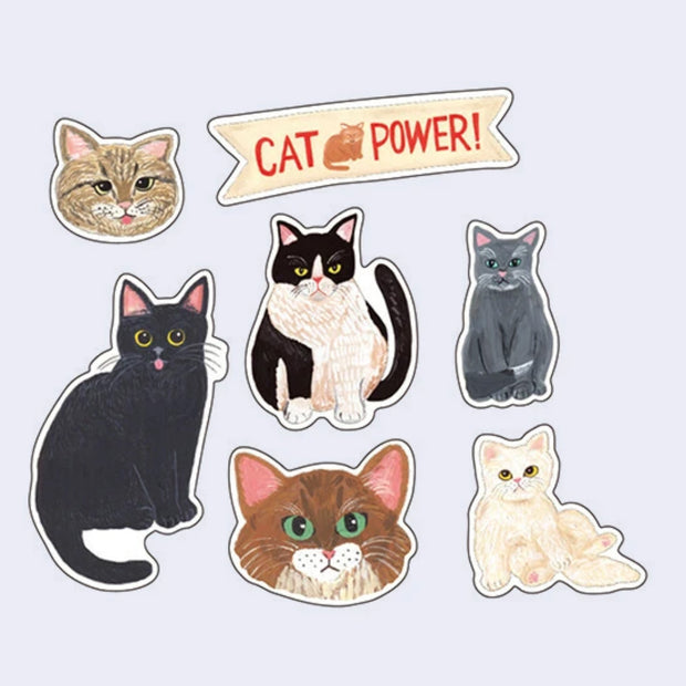 7 individual stickers of cats, different breeds and sitting in various positions or seen close up with heads only. 